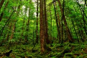 世界举重青年联赛选手成长手册印刷发行，举重世界比赛